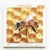 Pětivrstvé výukové puzzle Vývoj včely